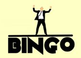 bingo spil