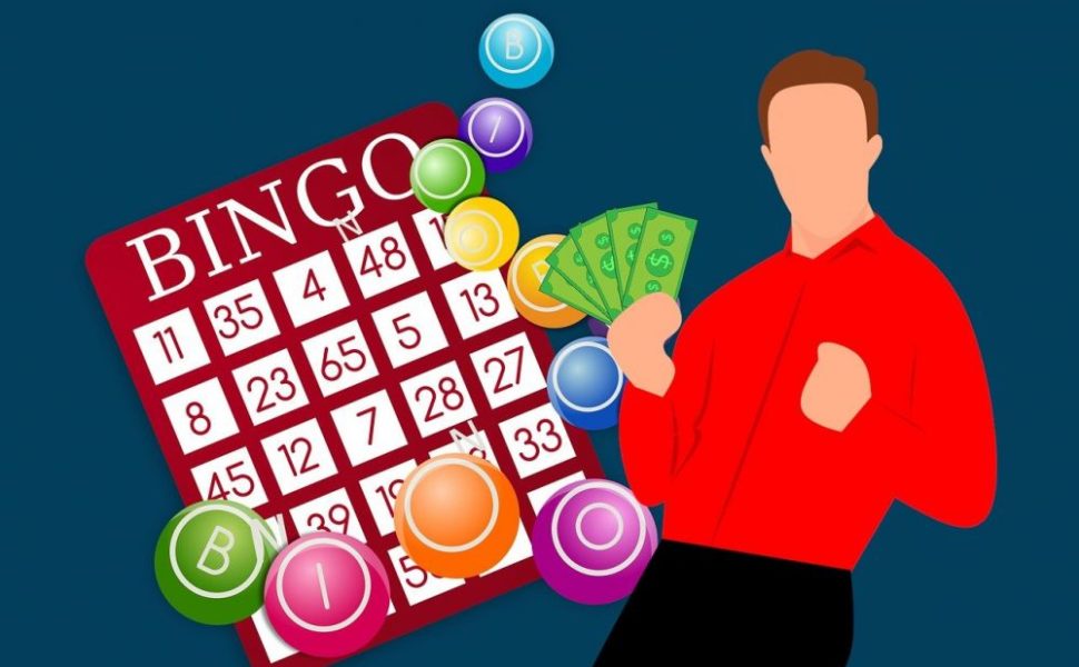 bingo lingo