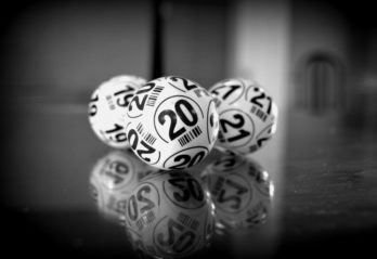 bingo banko plader